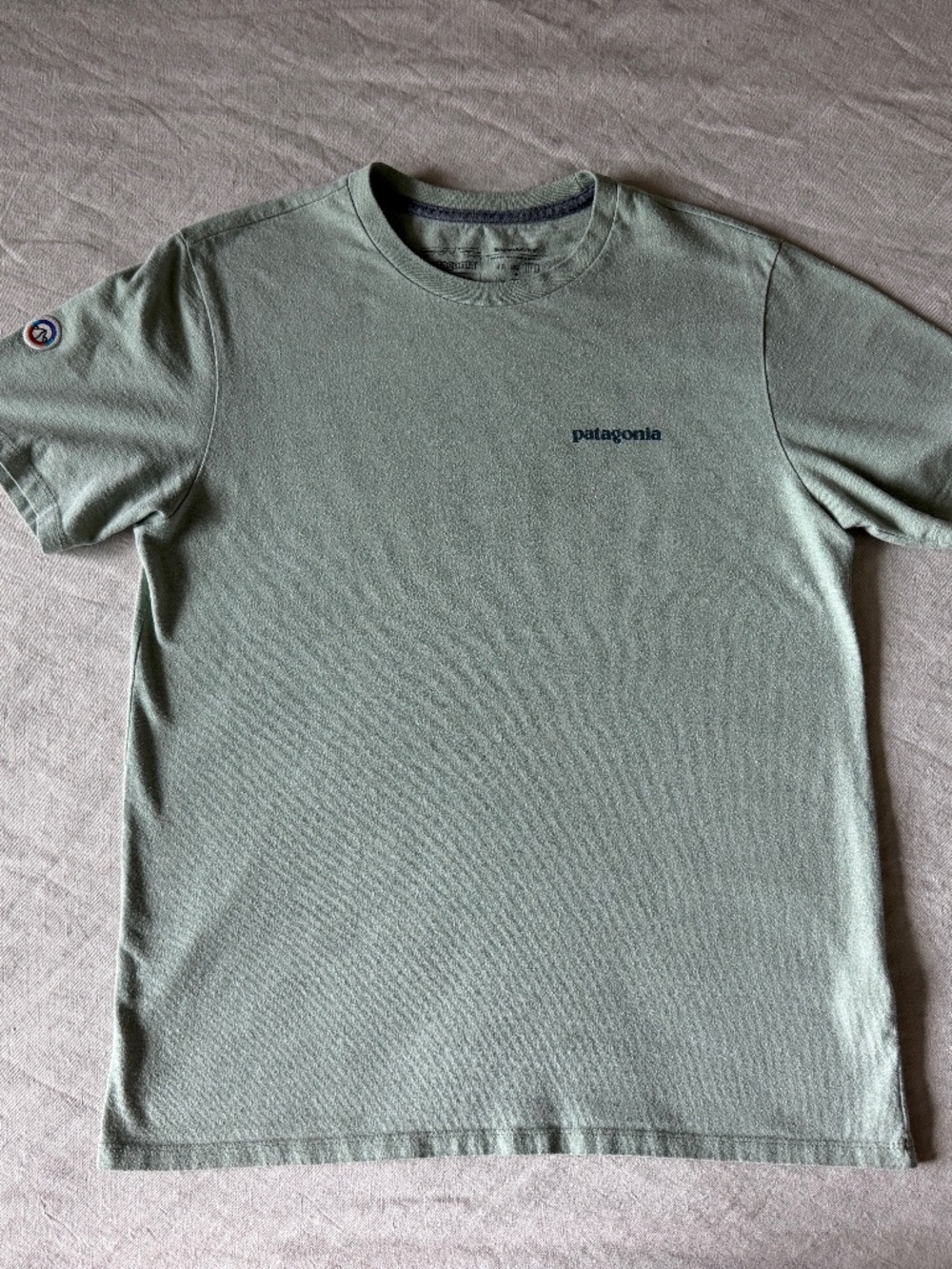 Patagonia Adult Fitz Roy Icon Responsibili-Tee T-Shirt, Sage, M’s S, W’s M